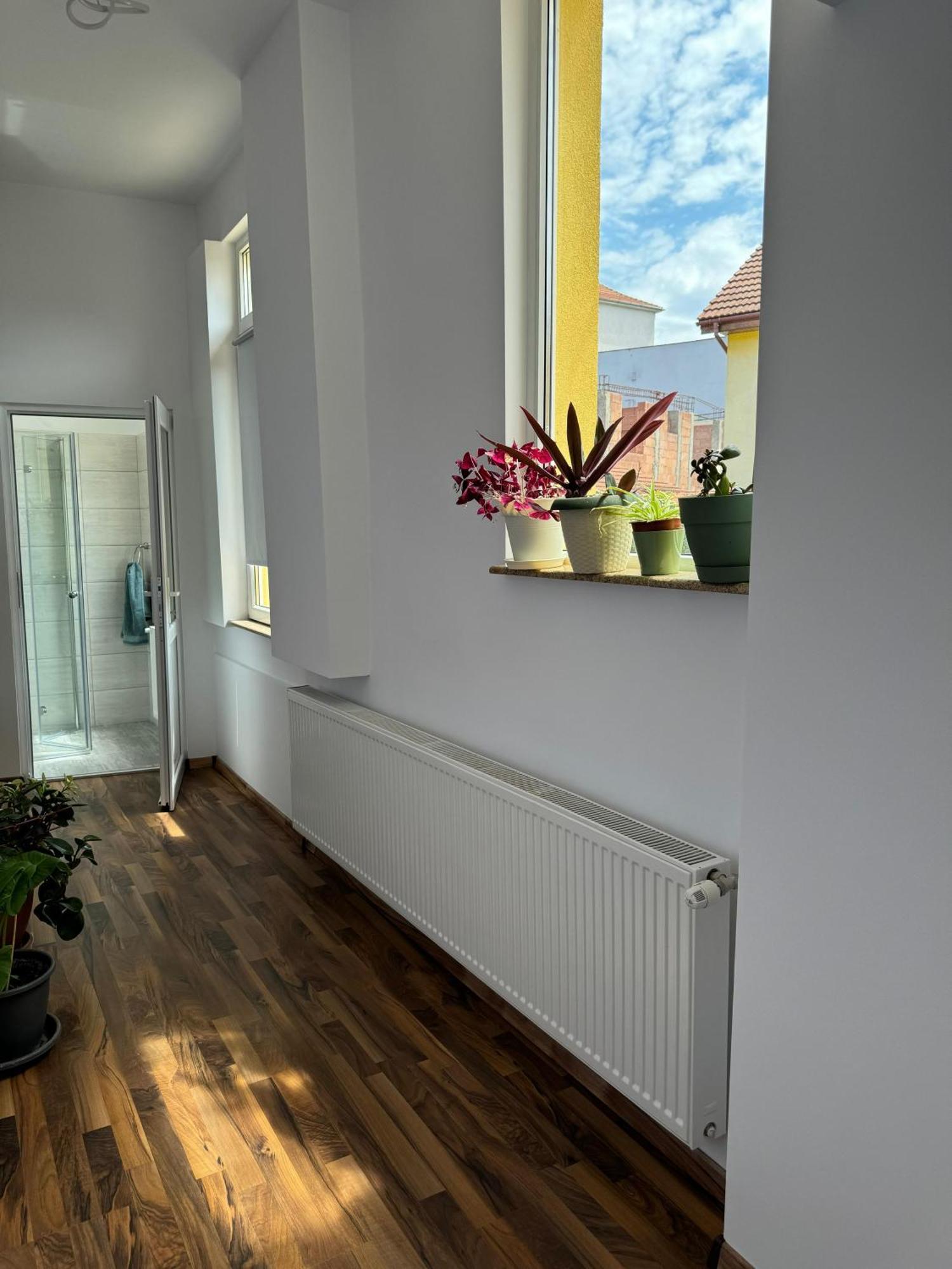 Apartament Victoria 티미쇼아라 외부 사진