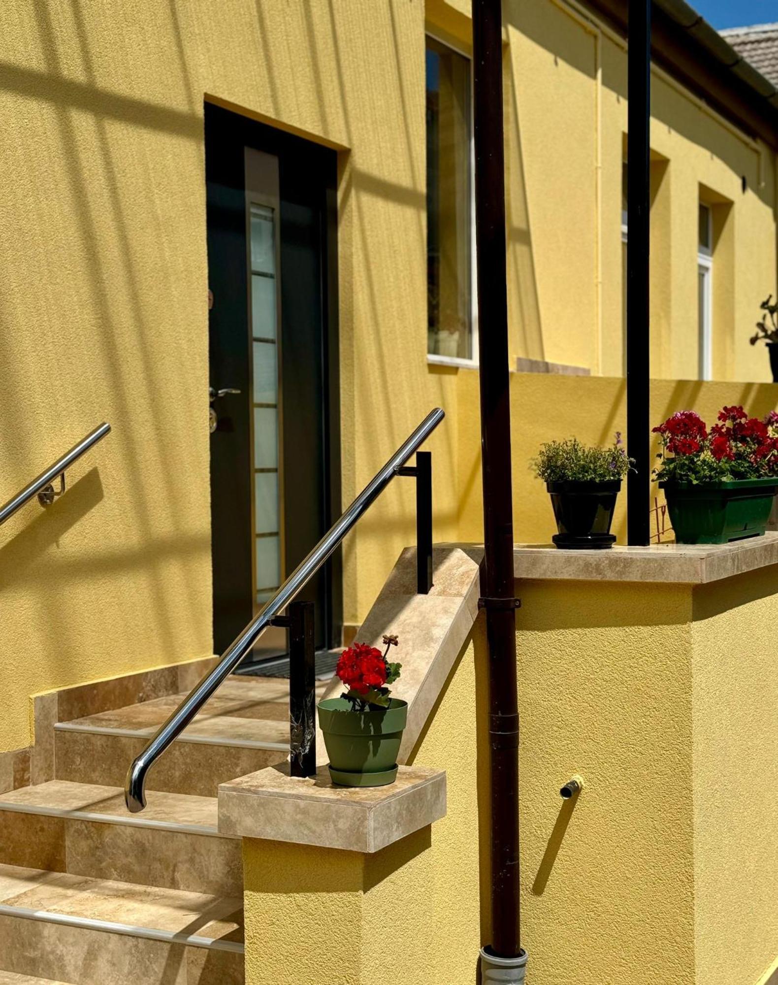 Apartament Victoria 티미쇼아라 외부 사진