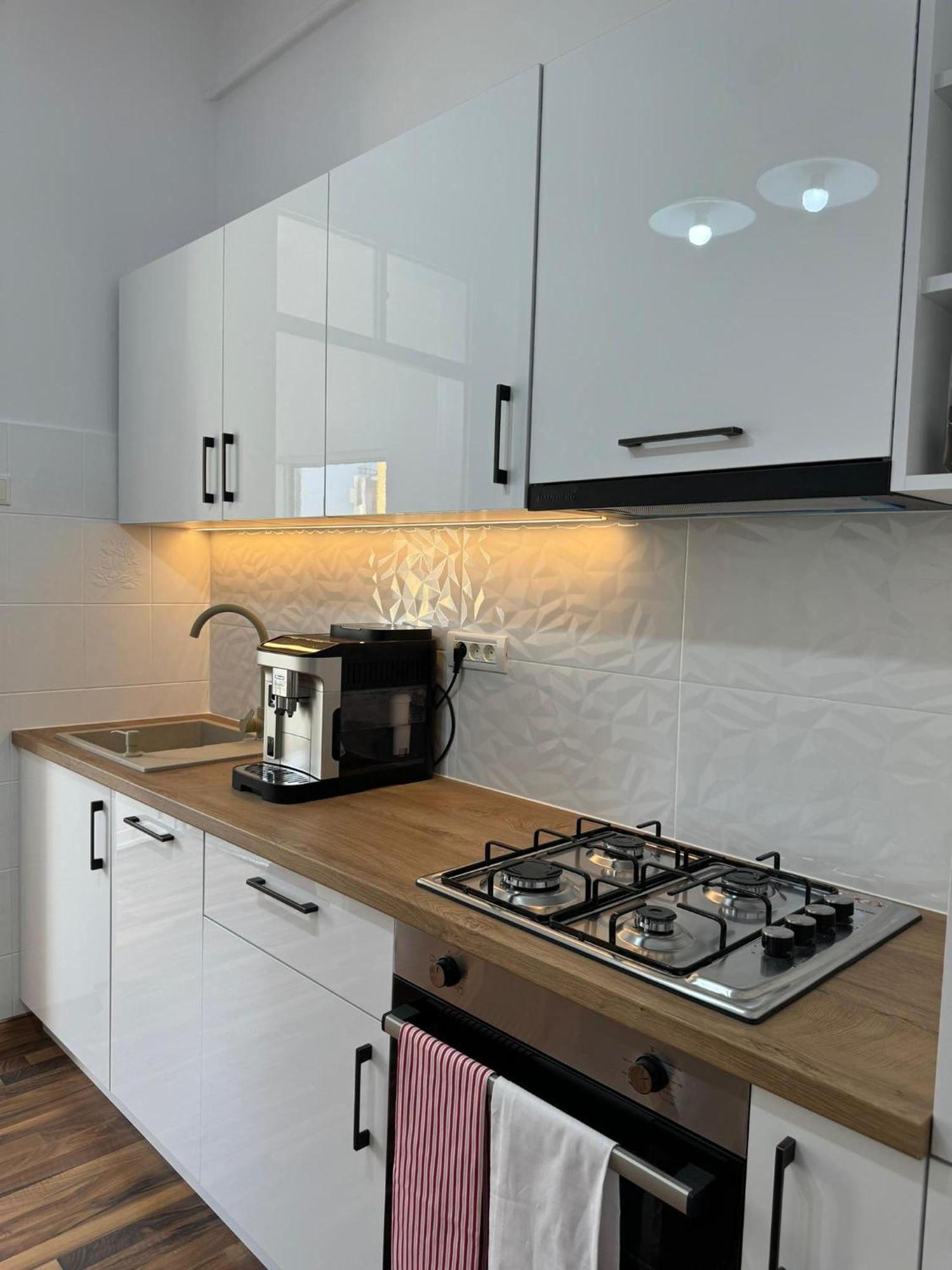 Apartament Victoria 티미쇼아라 외부 사진
