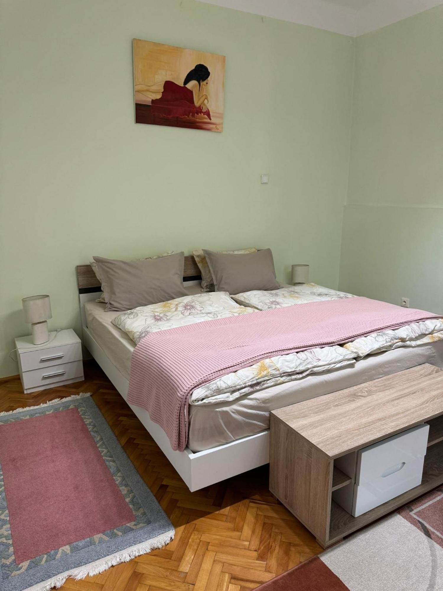 Apartament Victoria 티미쇼아라 외부 사진