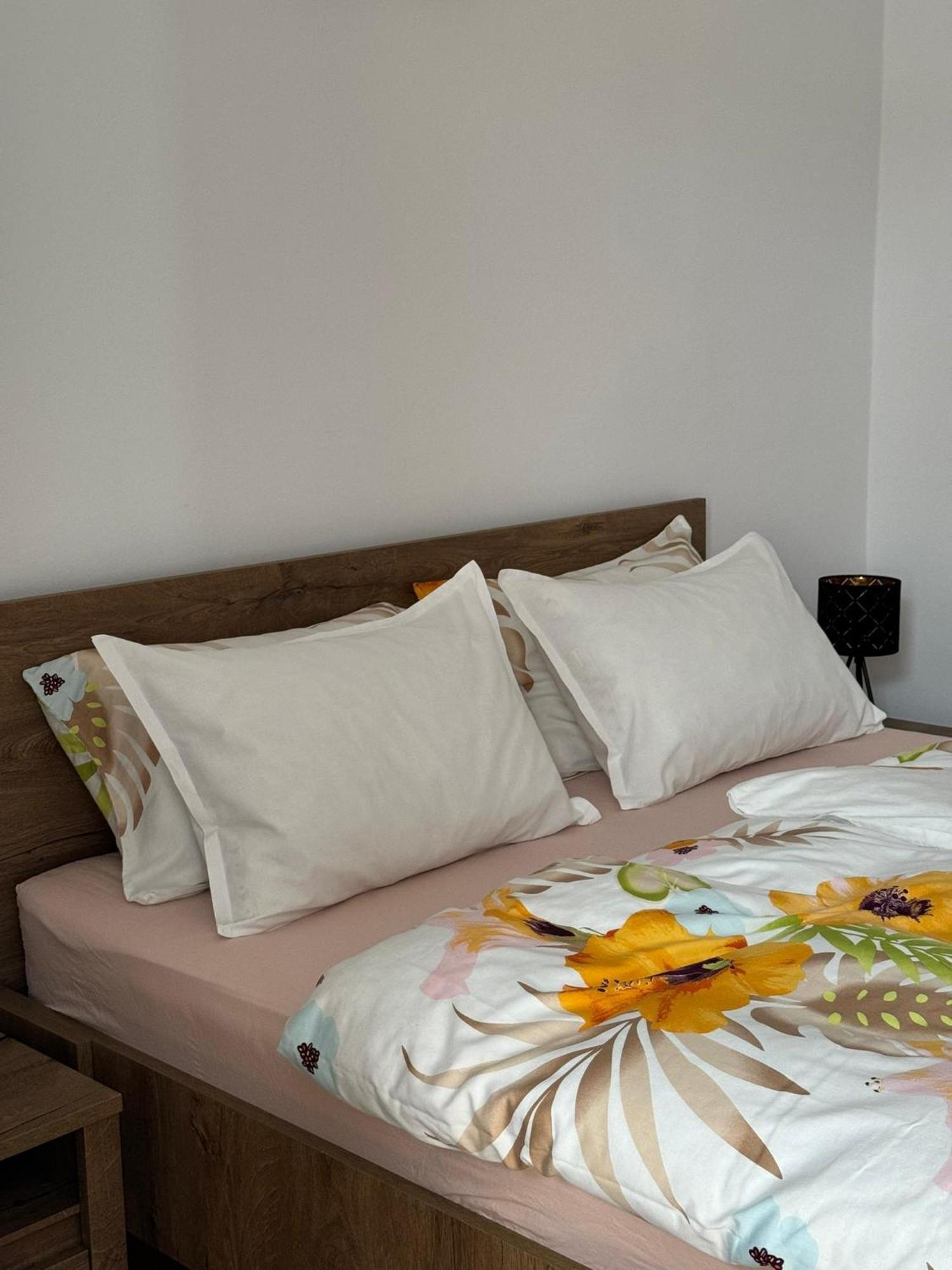 Apartament Victoria 티미쇼아라 외부 사진