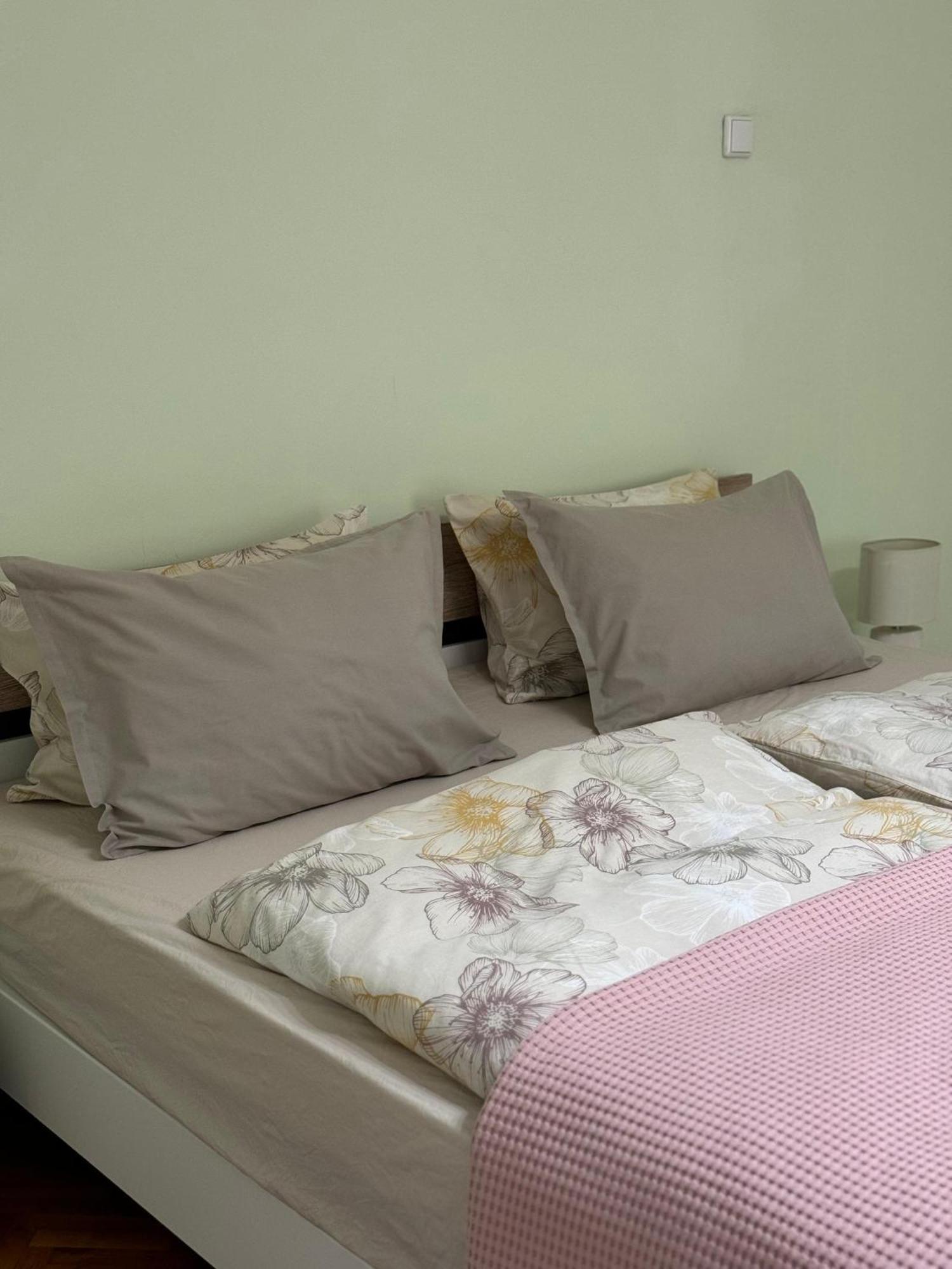 Apartament Victoria 티미쇼아라 외부 사진